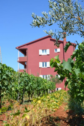 Отель Apartments Roža  Медулин